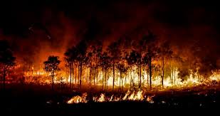 Au cours des deux derniers jours, environ 16 500 feux de forêt ont été enregistrés dans les 10 premiers pays. Mega Incendies L Age Du Feu