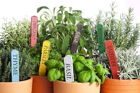 A kitchen drawer spice rack makes identifying your spice labels easy and helps keep your spice collection organized. 25 Pretty Herb Garden Ideas Trees Com