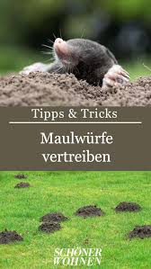 Pin Auf Garten Terrasse