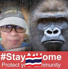 LARISSA LIVIER ♥️ GABRIEL TREMEARNE