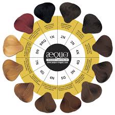 Aequo Organic Hair Color