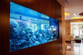 25 Awesome Aquariums You Wish You Owned Wall Aquarium Aquarium Design Large Fish Tanks