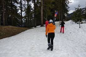 2,331 likes · 30 talking about this · 6,968 were here. Berita Foto Belajar Ski Di Pegunungan Alpen Perancis