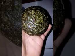 Batu geliga asli yang banyak di cari | barang koleksi bertuah. Jual Beli Geliga Landak By Pembeli Geliga Landak
