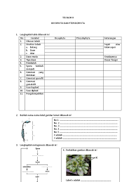Maybe you would like to learn more about one of these? Lumut And Paku Task
