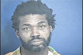 Police find starved dogs, owner charged