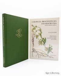 Image result for Riocreuxia