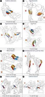 fst 7 programa treino pernas quadriceps e isquiotibiais exercicios de musculacao programas de treino treino de perna