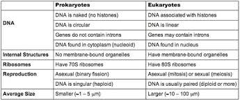 Discover free flashcards, games and test preparation activities designed to help you learn about plant and animal cells differences and other subjects. Biology Parts Of The Cell Flashcards Quizlet