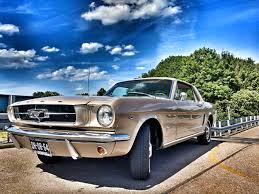 Image result for Champagne Beige 1965 Mustang