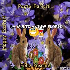 Temperaturile se ridică până la 25 grade. Florii Picmix