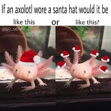 Santa Hat Santa Hat Meme Stickers Fish