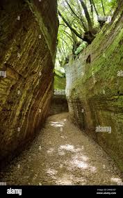Etruscan Le Vie Cave (Via Cava), the path connecting ancient necropolis and  several settlements in the area between Sovana, Sorano and Pitigliano. Cit  Stock Photo - Alamy