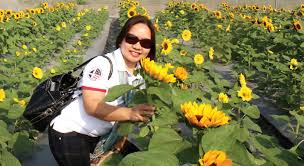 Nuts and seeds are rich sources of phytosterols, a class of plant chemicals that have been shown to reduce cholesterol levels and improve heart health. Great Varieties Great Ideas From Known You Seed Agriculture Monthly