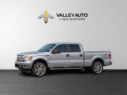 Image result for Moondust Silver 2014 Ford Truck