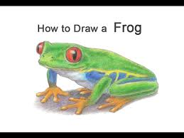 Check spelling or type a new query. How To Draw A Frog Red Eyed Tree Frog Youtube