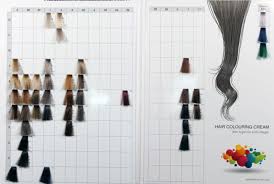 Makki Professional Hair Colour Chart Colouring Cream Shades Power Mix