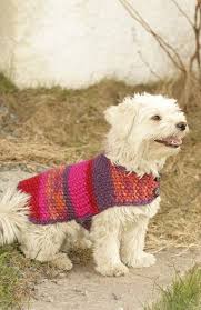 Minik Dostlariniz Icin Orgu Kiyafet Crochet Dog Sweater Free Pattern Dog Sweater Crochet Pattern Knitting Patterns For Dogs