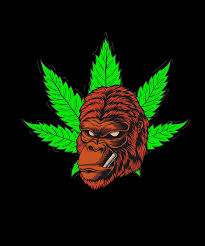 The best halloween edibles for weed lovers in all 50 states. Halloween Weed Cannabis Gorila Digital Art By Calnyto