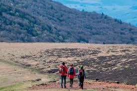 Photo La Montagne: Actualit du jour - Les news du Puy-de-Dme (63) de ...