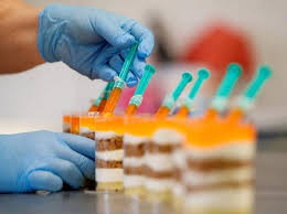 Hayvanlar üzerinde yapılan deneyler sonucu molnupiravir'in 24. Natco Pharma Rallies 7 As Firm Seeks Nod For Covid Medicine Molnupiravir Business Standard News