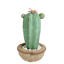 Green foam for flowers target. Northlight 14 In Potted Green And Brown Artificial Cactus Plant With Flowers 32738601 Rona