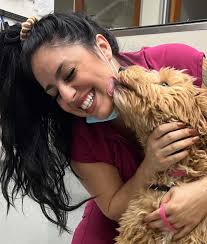 Experienced Veterinarians