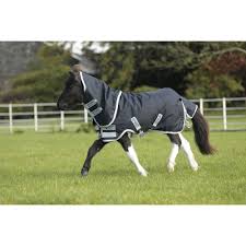 Horseware Amigo Petite Plus Medium Turnout Rug For Miniature Horses And Miniature Shetland Ponies