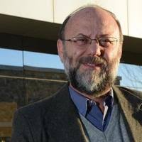 PDF) Between Memory and History: Holocaust Survivors in Argentina