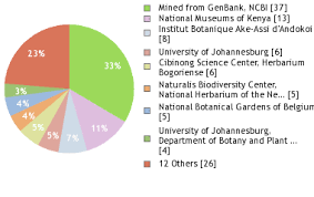Image result for Millettia lasiantha
