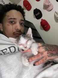 I have picked up a stray cat from Argotti gardens, he is an older boy and  has some kidney issues. Ideally I would like him to go to a sanctuary but  all