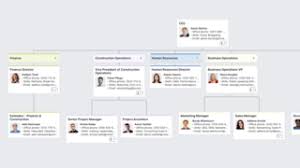 They are informational tools that can be as simple as text boxes containing names or positions connected with lines to show relationships. Construction Company Organizational Chart Template Free Download