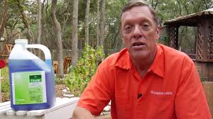 This is the fastest solution to kill poison ivy. Lawn Care Tips How To Get Rid Of Poison Oak Poison Ivy Youtube