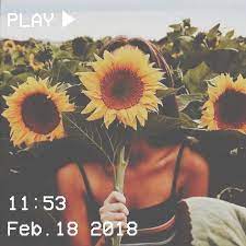 We did not find results for: Sunflower Sunflowers Aesthetic Summer Flower Aesthetic Yellow Aesthetic Aesthetic Photography