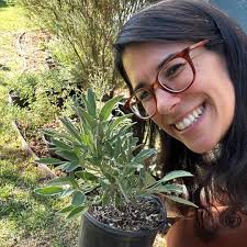 Now that the Western monarch butterflies have emerged from their coastal  overwintering sites and need host plants