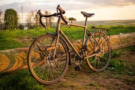 Image result for Kona Coffee 2014 Crosstour