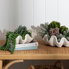 11 inches by 6 inches by 11 inches tall. Clam Shell Bowl Range Muslclams17 Pillow Talk