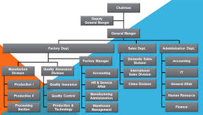 Organizational Structure Of The Confectionary Factory Fasrkit