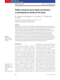 Your pancreas, tucked away behind your stomach, is an inconspicuous organ tirelessly producing essential enzymes. Pdf Feline Exocrine Pancreatic Carcinoma A Retrospective Study Of 34 Cases