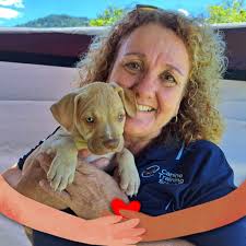 Beachside Veterinary Hospital