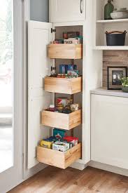 Diamond At Lowes Organization And Specialty Products Utility Cabinet Kitchen Storage Solutions New Kitchen Cabinets Home Kitchens