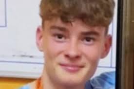 Gigi Hadid tweets then deletes posts about Zayn Malik romance and ex Joe  Jonas