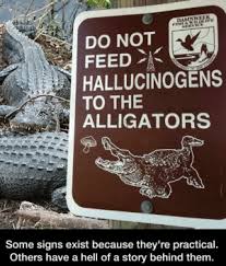 Image result for MAKE GIFS MOTION IMAGES OF A CRAZY ALLIGATOR MAN IN THE SWAMPS OF LOUISIANA