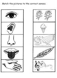 Free 5 Senses Worksheet For Kids Crafts And Worksheets For Preschool Toddler And Kindergarten In 2020 Five Senses Worksheet Preschool Worksheets Worksheets For Kids