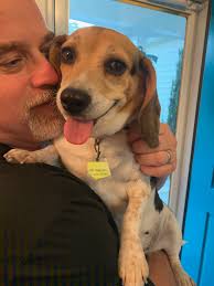 Мой любимый мокрый носик🥰