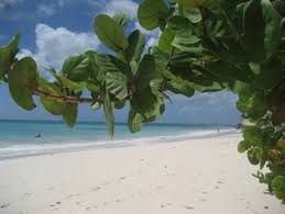 Die beliebte karibische insel barbados gehört zu der inselgruppe kleinen antillen und liegt im atlantischen ozean. Barbados Urlaub 2021 Buchen Angebote Erfahrungen Auf Ich Will Weg Net