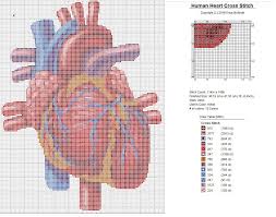 Download 10,489 anatomical heart free vectors. Pin By Lyuba On Shemy In 2021 Cross Stitch Heart Modern Cross Stitch Cross Stitch Patterns