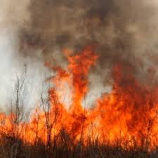 Maybe you would like to learn more about one of these? Incendios Forestales Medlineplus En Espanol