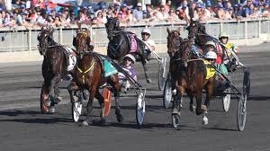 🌟 #betshare #tipster 🏆 nov 2016. Coronavirus Has Claimed 5 Members Of N J S Harness Racing Community Horsemen Wonder Who S Next Nj Com