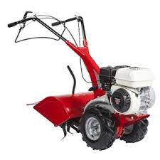 Eurosystems Rtt2 Motorhacke Mit Motor Von Honda Im Benzin Gartenfrase Vergleich 2020